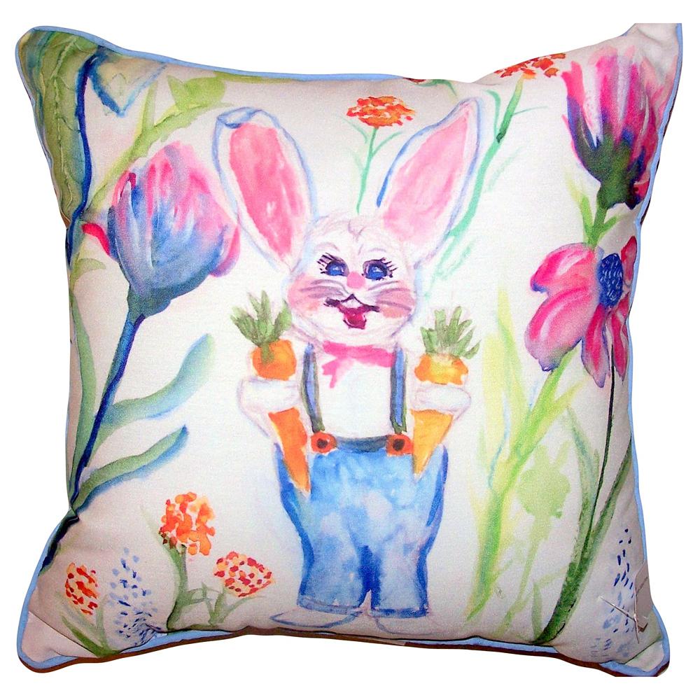 Mr. Farmer Small Outdoor/Indoor Pillow 12x12. Picture 1