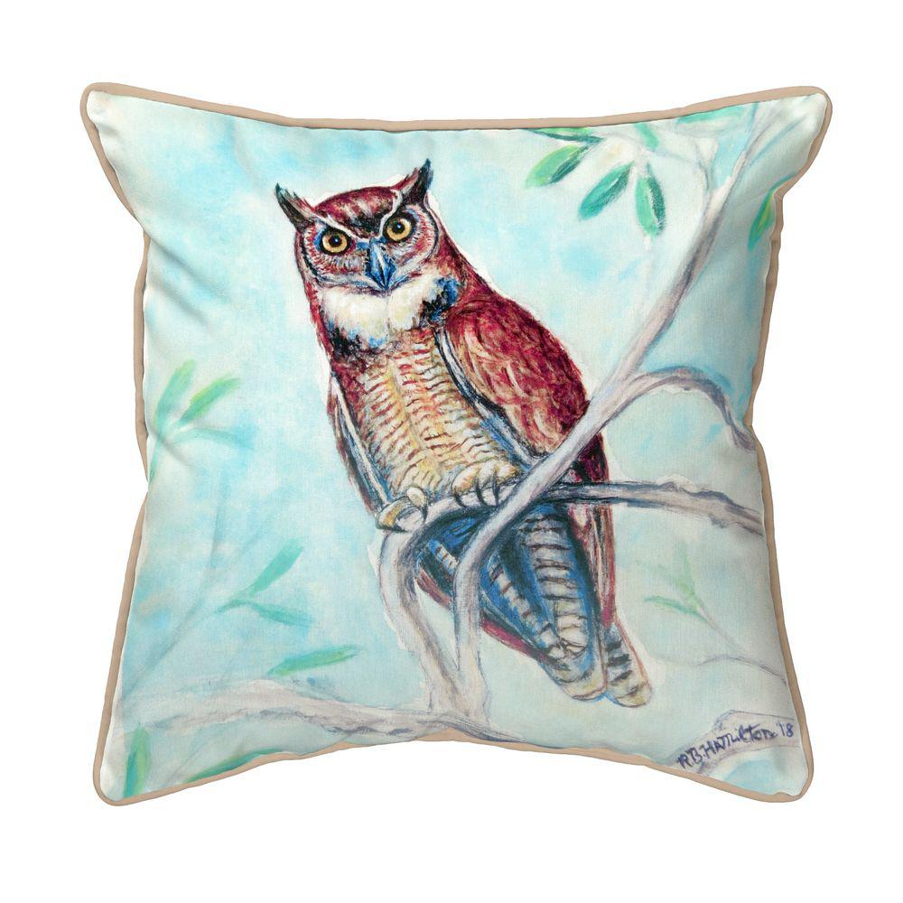 Owl in Teal Small Indoor/Outdoor Pillow 12x12. Picture 1