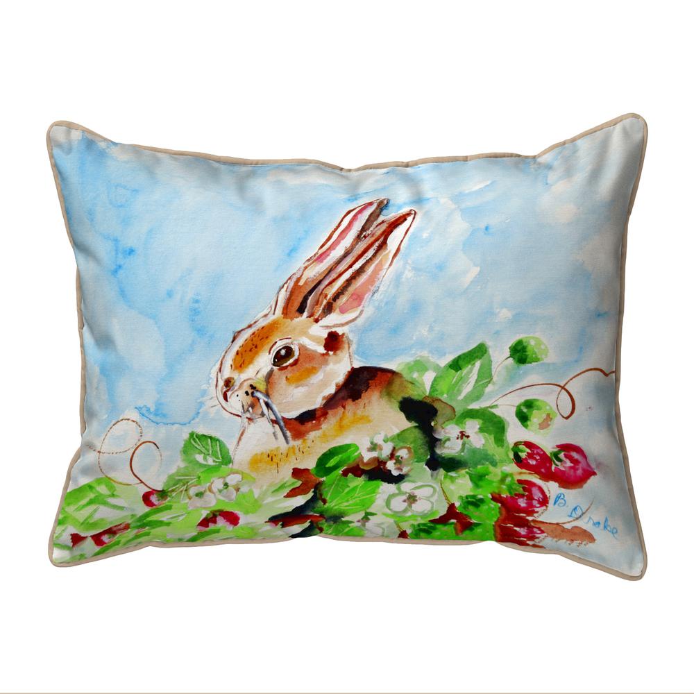 Jack Rabbit Left Small Pillow 11x14. Picture 1