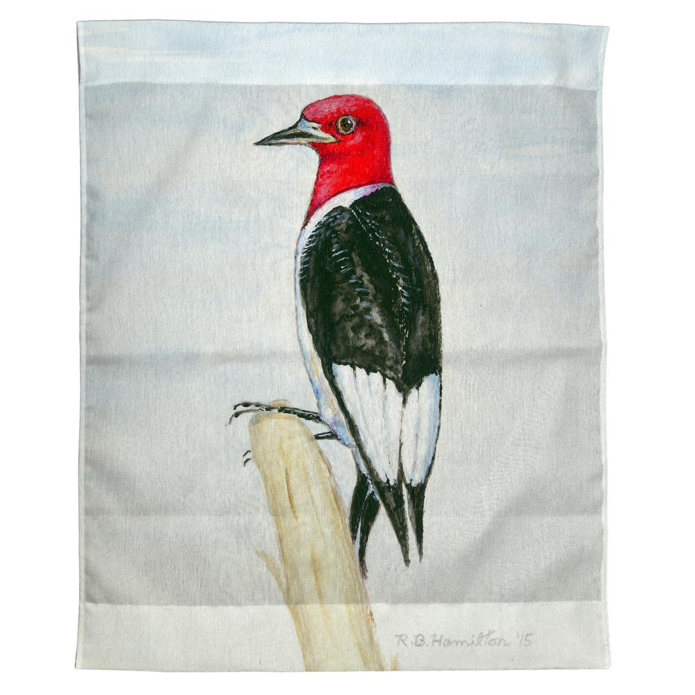 Woodpecker Outdoor Wall Hanging 24x30. Picture 1