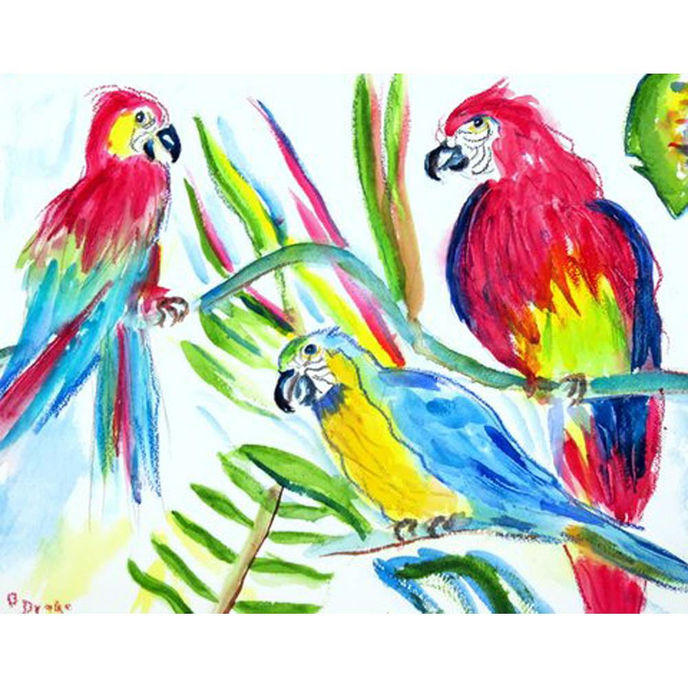 Three Parrots Outdoor Wall Hanging 24x30. Picture 1