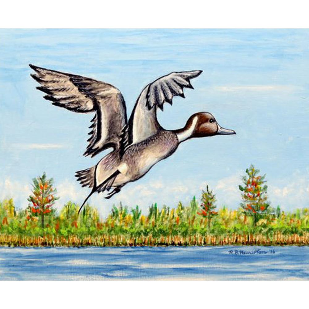 Pintail Duck Outdoor Wall Hanging 24x30. Picture 1