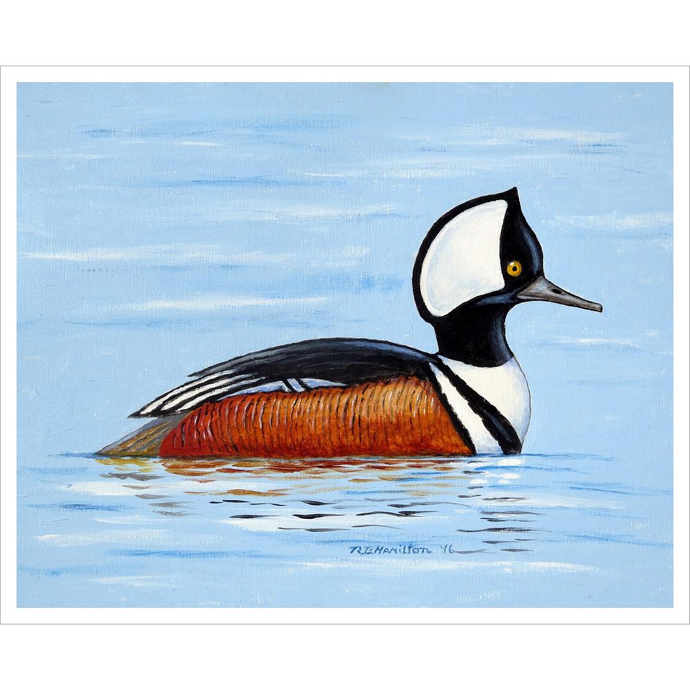 Hooded Merganser Outdoor Wall Hanging 24x30. Picture 1