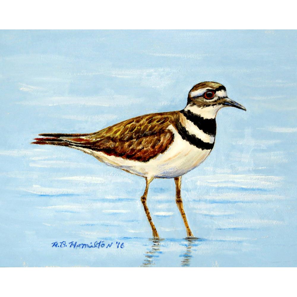 Killdeer Outdoor Wall Hanging 24x30. Picture 1