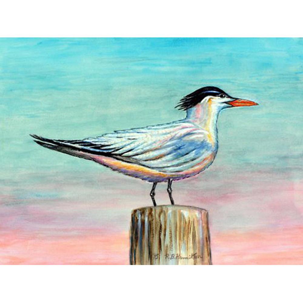 Royal Tern Outdoor Wall Hanging 24x30. The main picture.