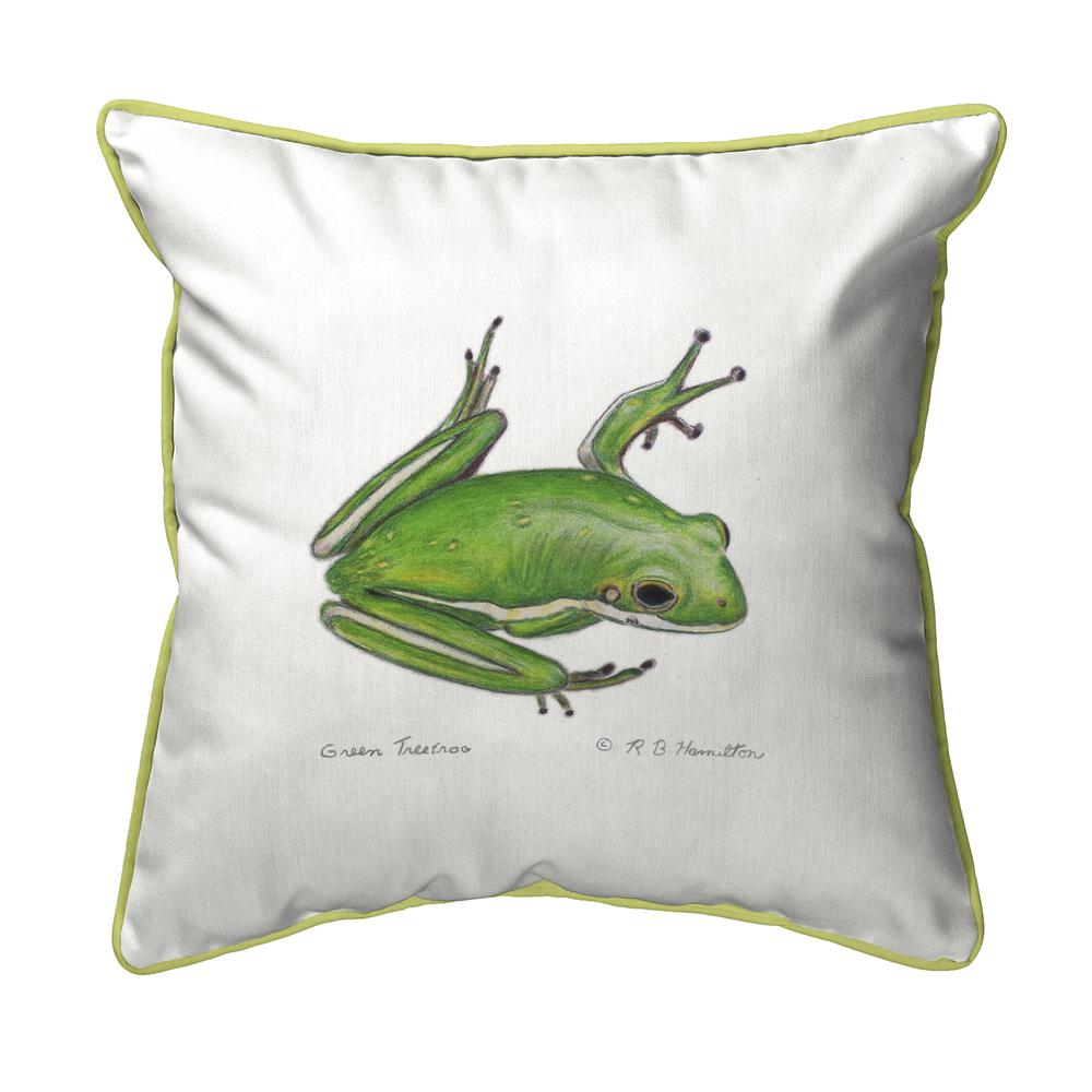 Green Treefrog Extra Large Zippered Pillow 22x22. Picture 1