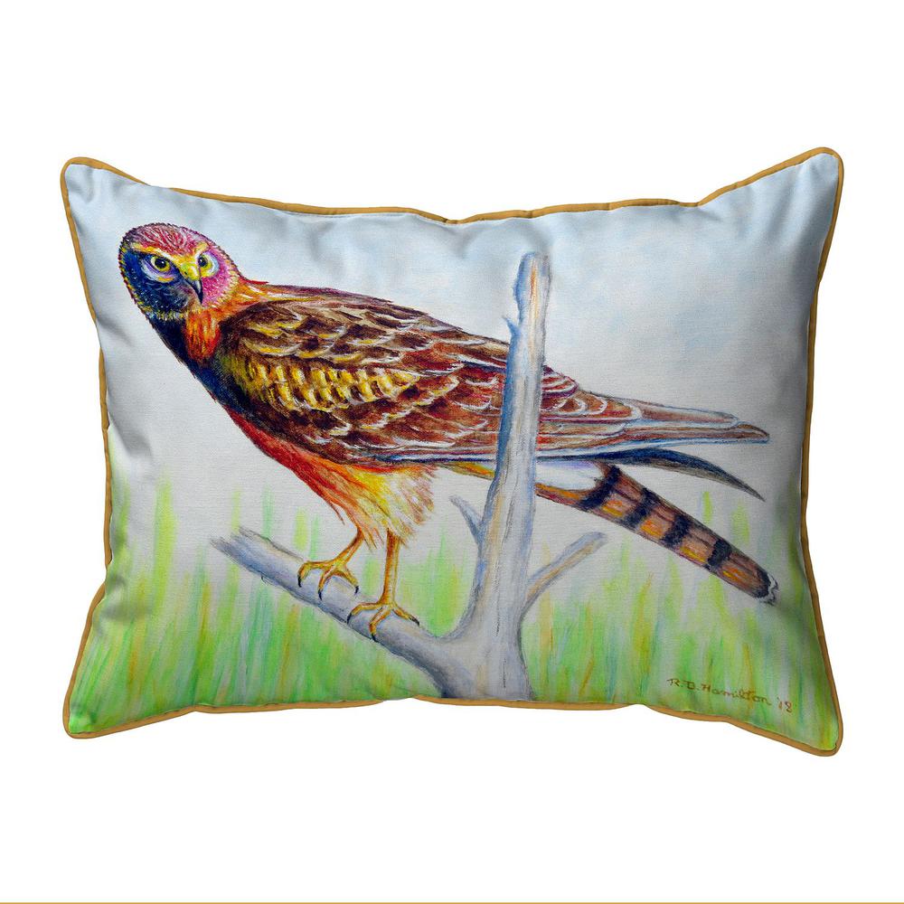 Marsh Hawk Extra Large Zippered Pillow 20x24. Picture 1