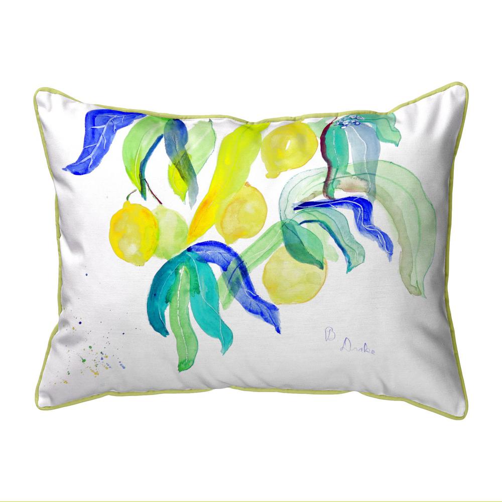 Lemon Tree Extra Large Zippered Indoor/Outdoor Pillow 20x24. Picture 1