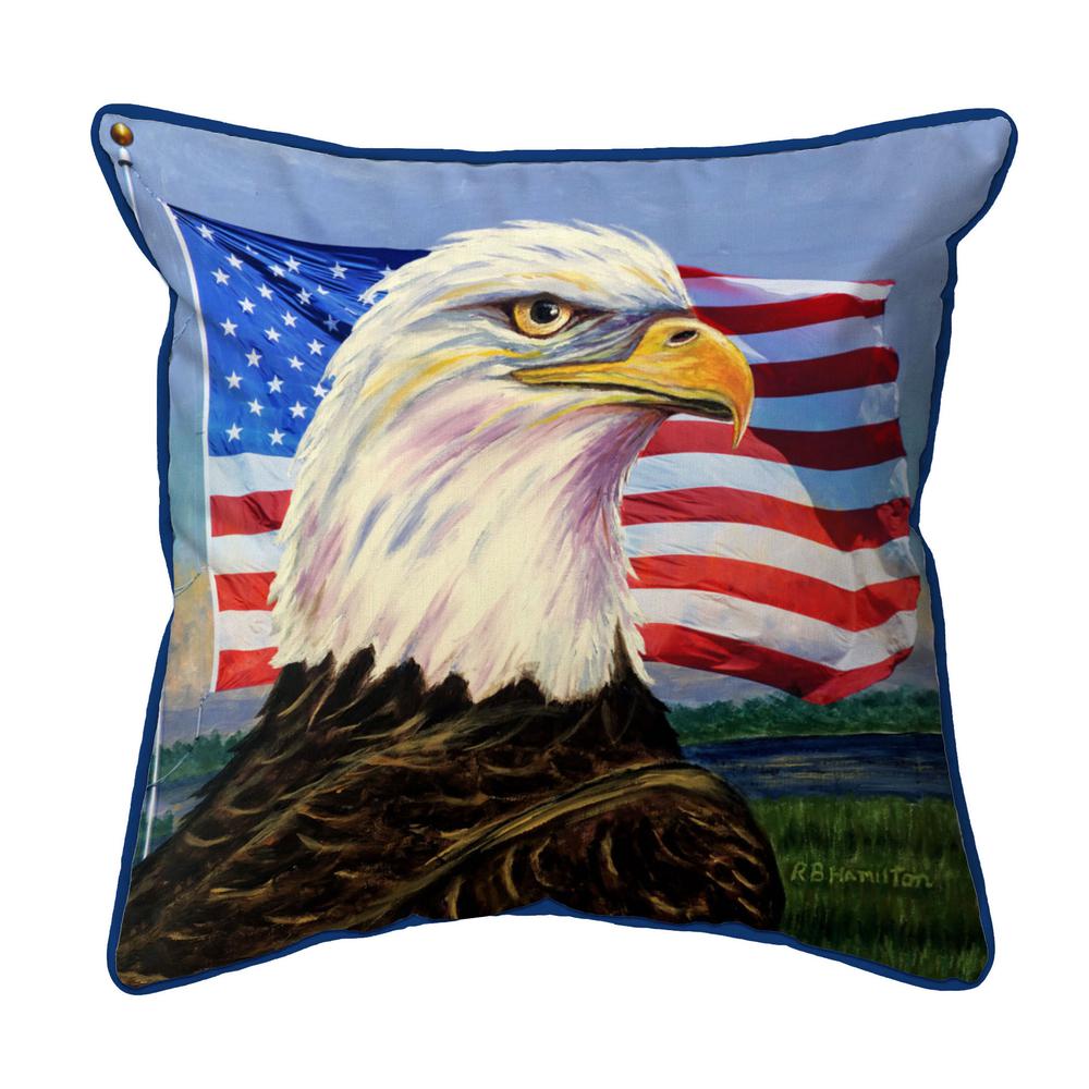 US Flag Eagle Extra Large Zippered Pillow 22x22. Picture 1