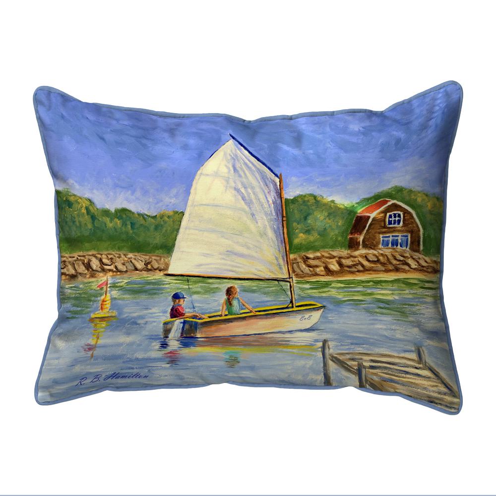 Safe Harbor Extra Large Zippered Pillow 20x24. Picture 1