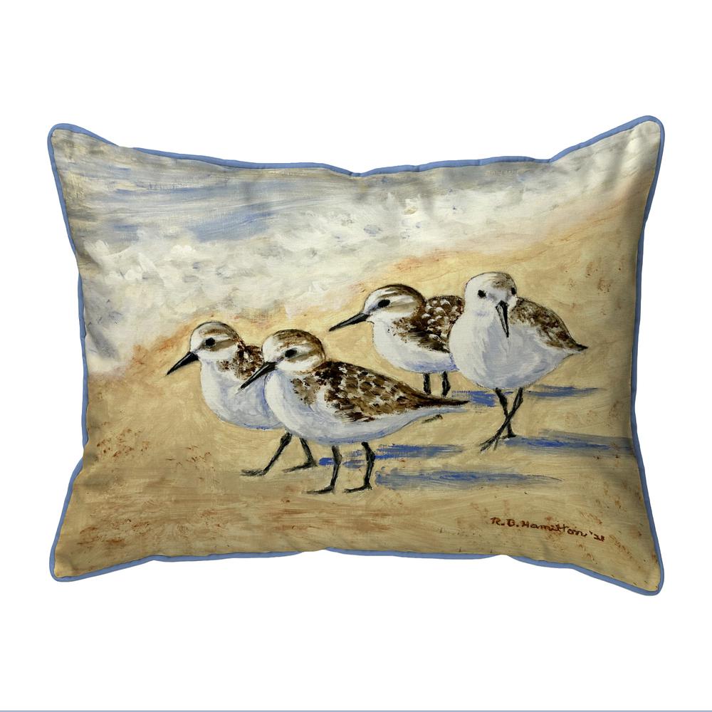 Dick's Sanderlings Extra Large Zippered Pillows Indoor/Outdoor Pillow 22x22. Picture 1