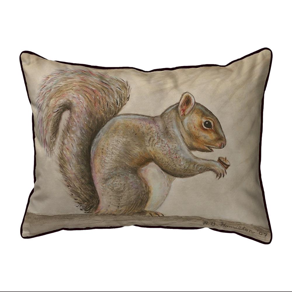 Squirrel Extra Large Zippered Pillow 20x24. Picture 1