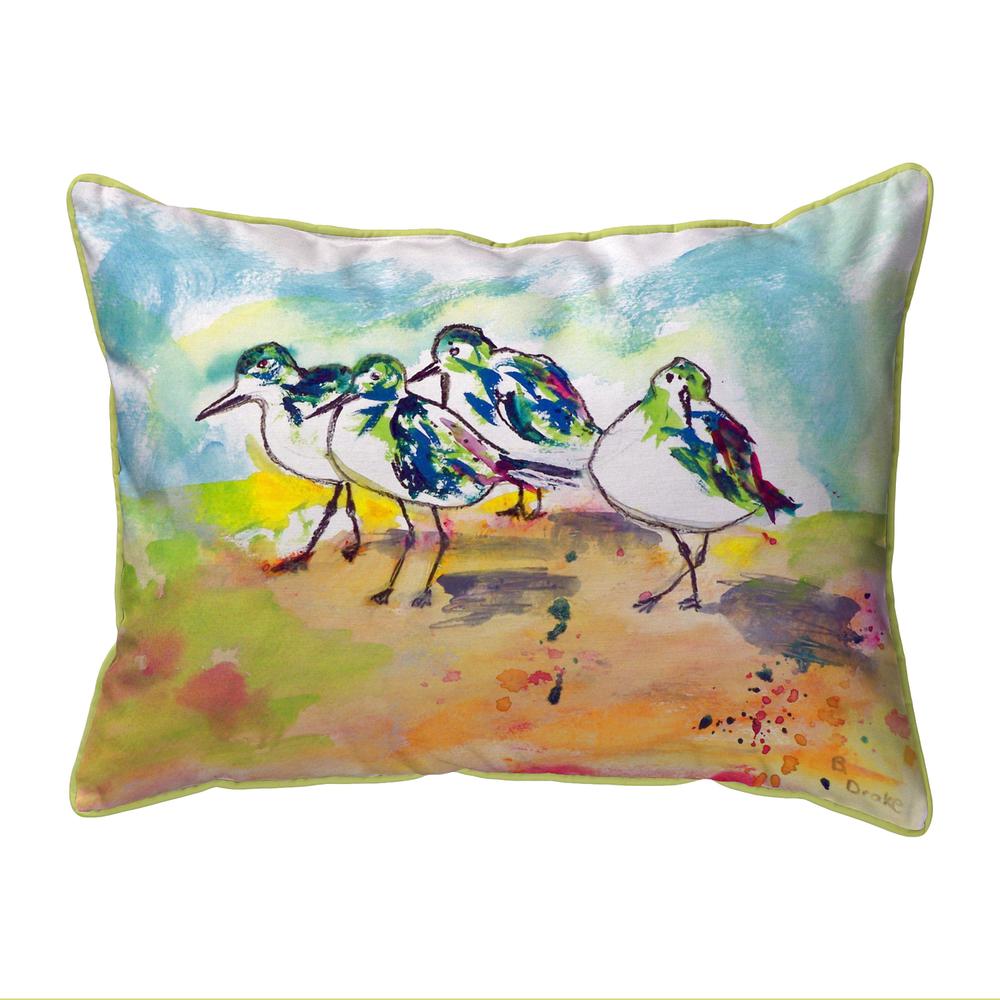 Sanderlings Extra Large Zippered Pillow 20x24. Picture 1