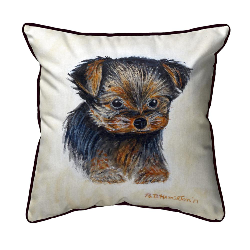 Tauris Extra Large Zippered Pillow 22x22. Picture 1