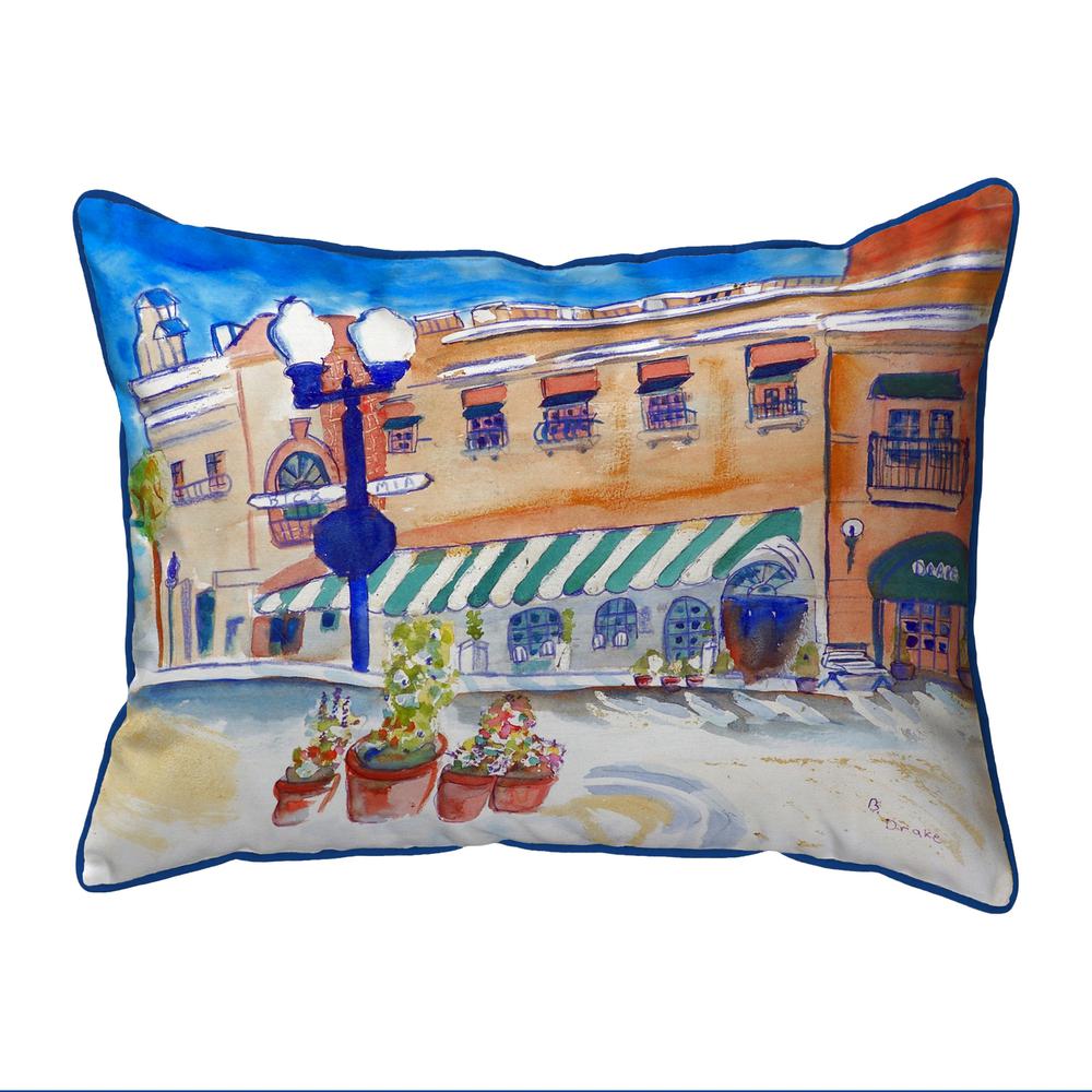 Canal Street Extra Large Zippered Pillow 20x24. Picture 1