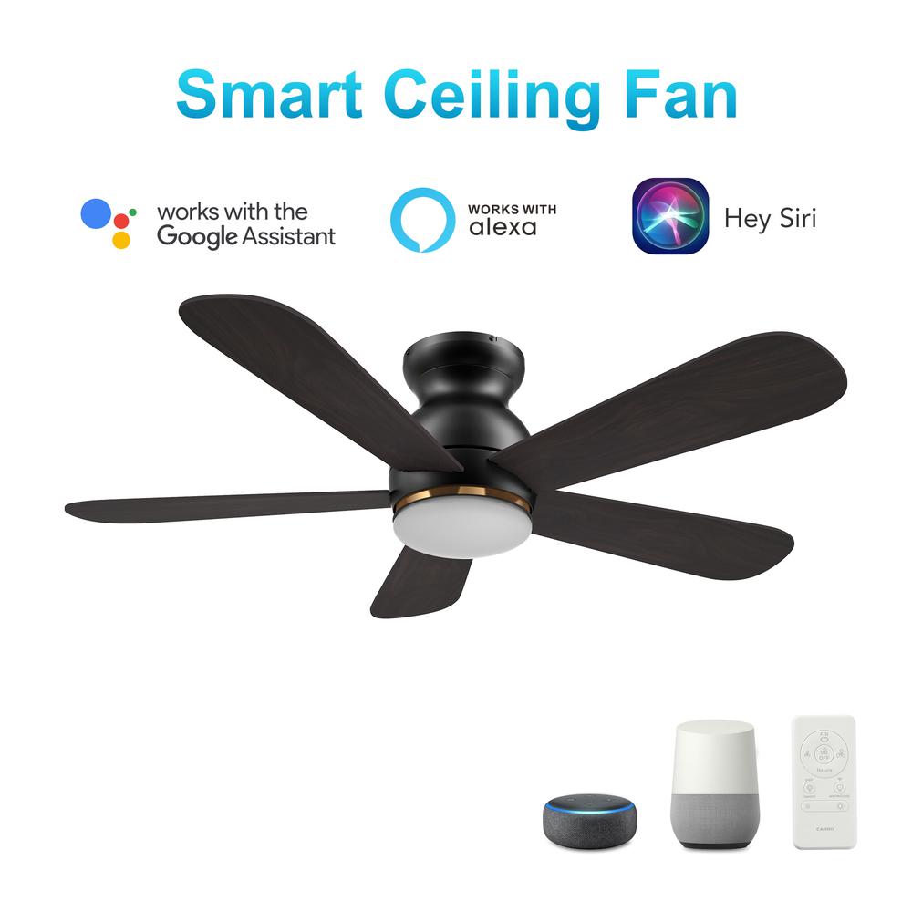 Dubois 48'' Smart Ceiling Fan with Remote, Light Kit Included Black Finish. Picture 2