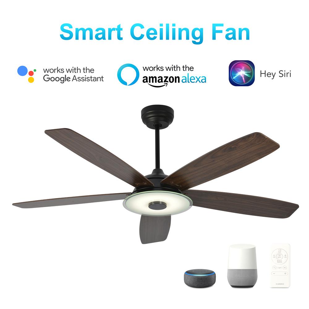 Journey 52-inch Indoor/Outdoor Smart Ceiling Fan Black. Picture 1