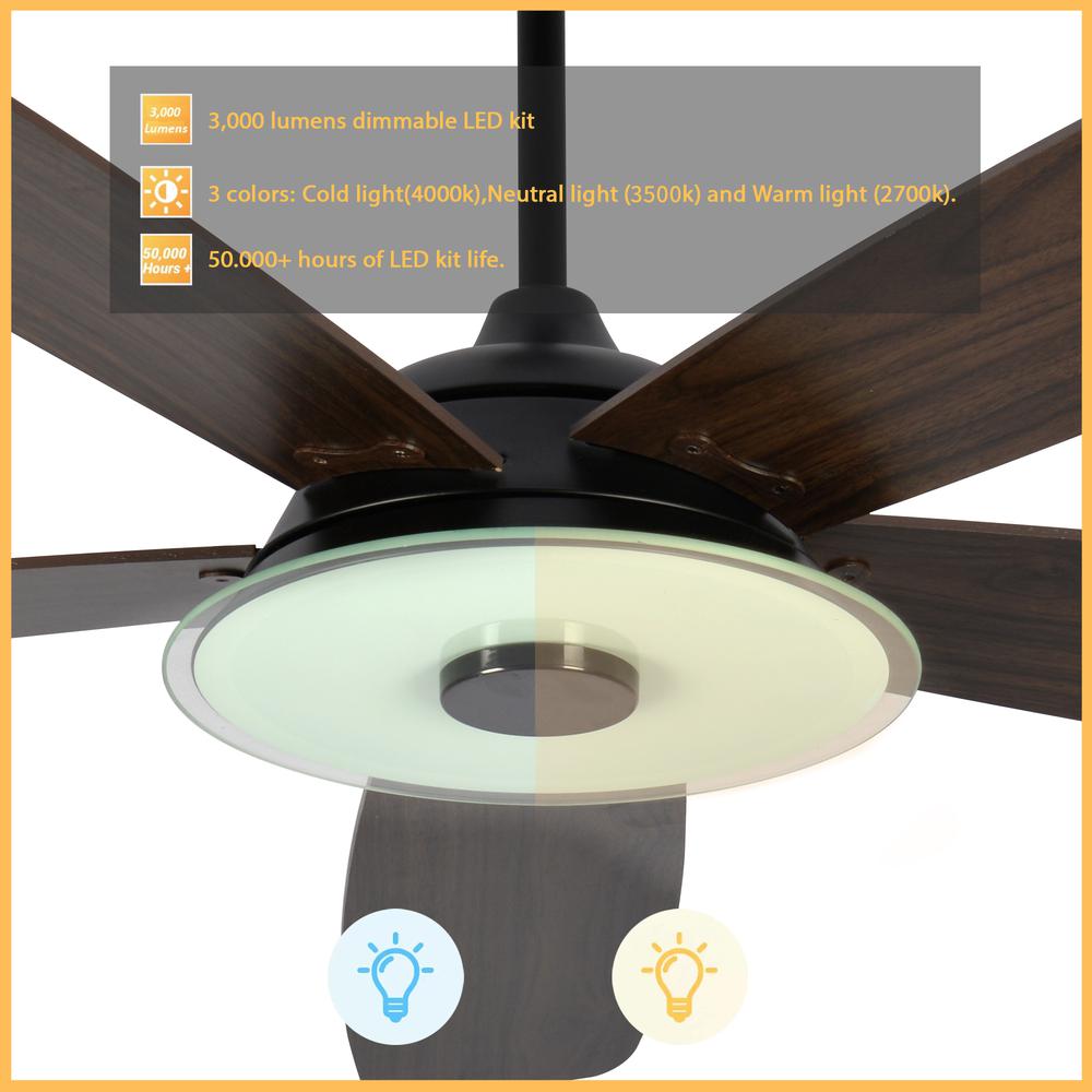 Journey 52-inch Indoor/Outdoor Smart Ceiling Fan Black. Picture 5