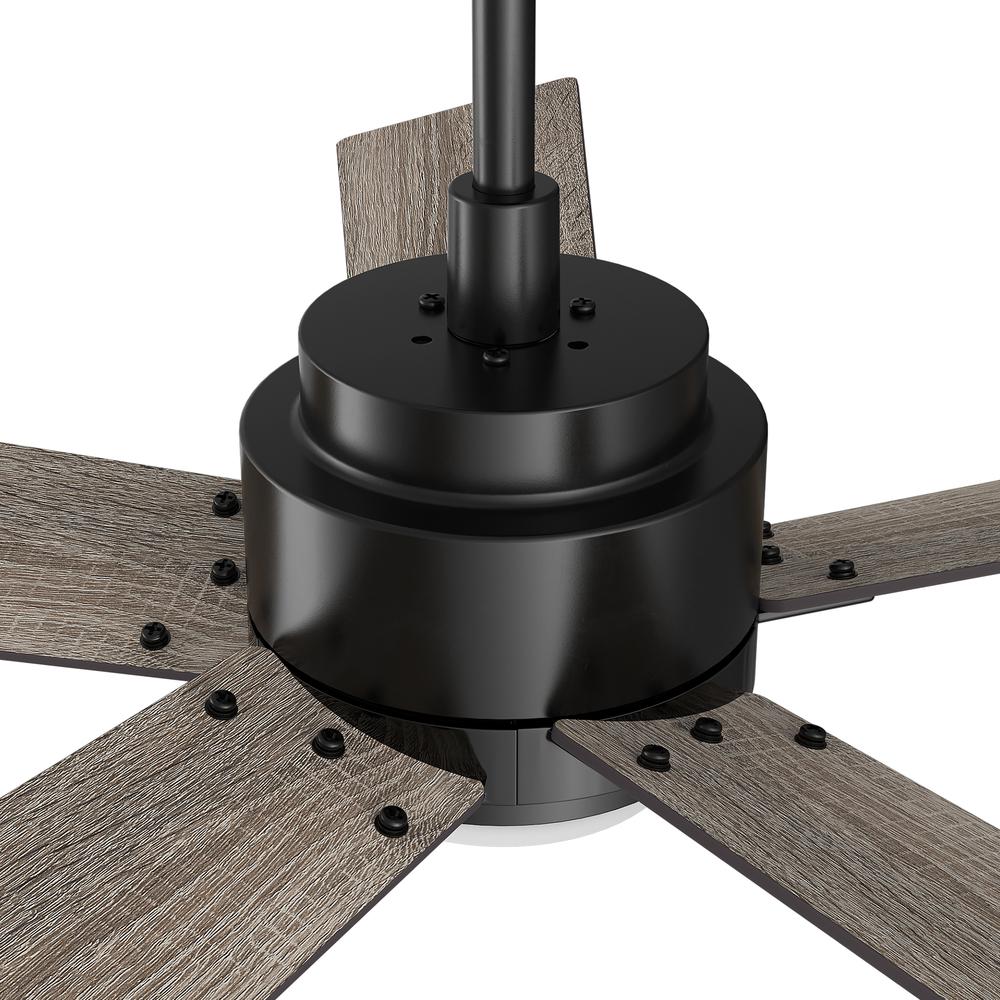 Ascender 56-inch Smart Ceiling Fan with Remote, Light Kit Included, Black Finish. Picture 7
