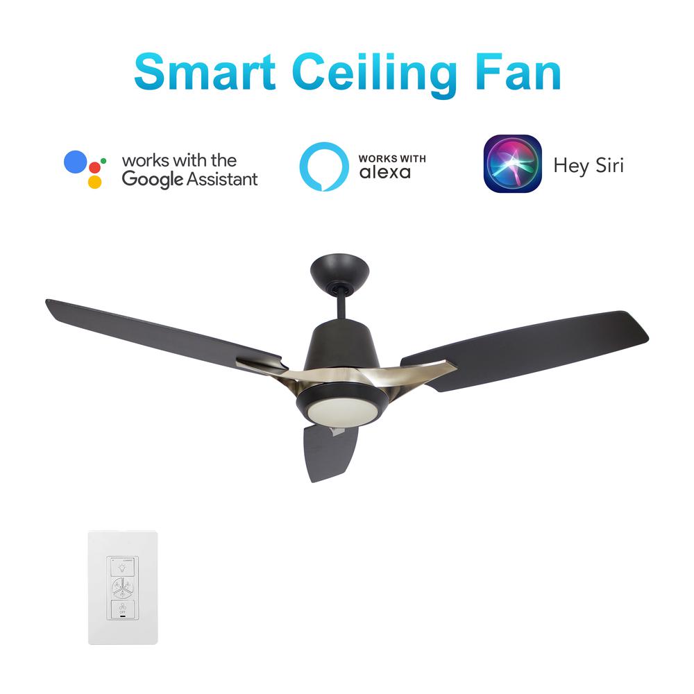 Eunoia 52-inch Smart Ceiling Fan with wall control, Light Kit Included Black Finish. Picture 1