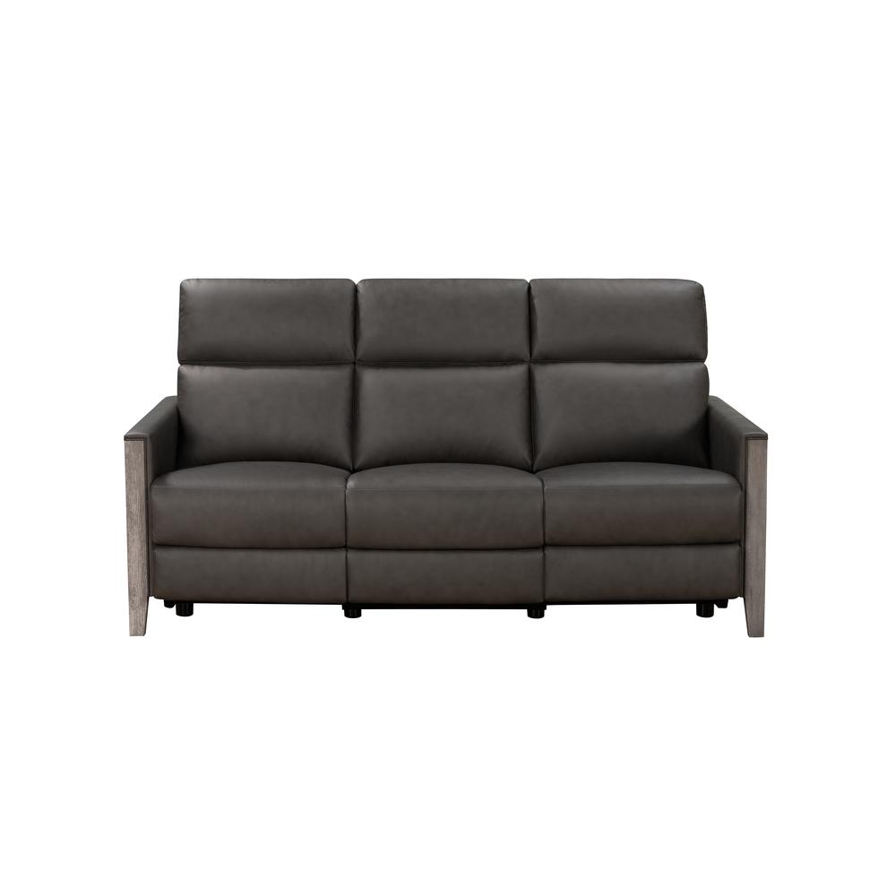 Hartman Power Reclining Sofa w/Power Head Rests. Picture 1