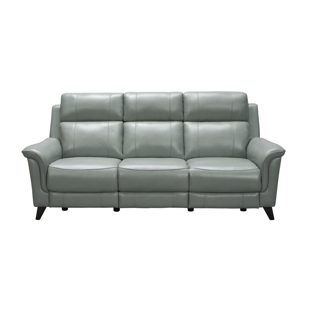 39PH-3716 Kester Power Reclining Sofa, Mint. Picture 2