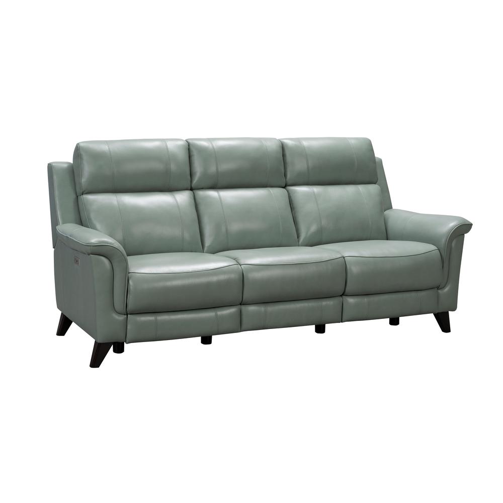 39PH-3716 Kester Power Reclining Sofa, Mint. Picture 1