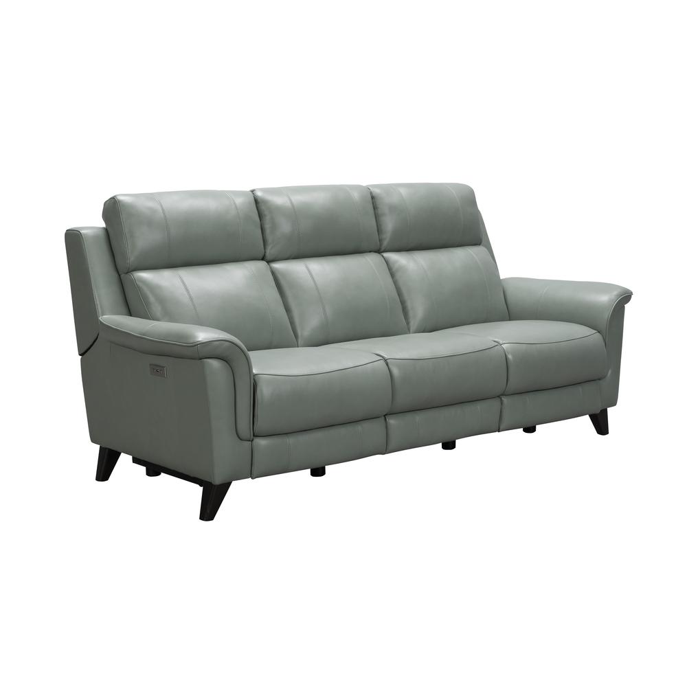 39PH-3716 Kester Power Reclining Sofa, Mint. Picture 3
