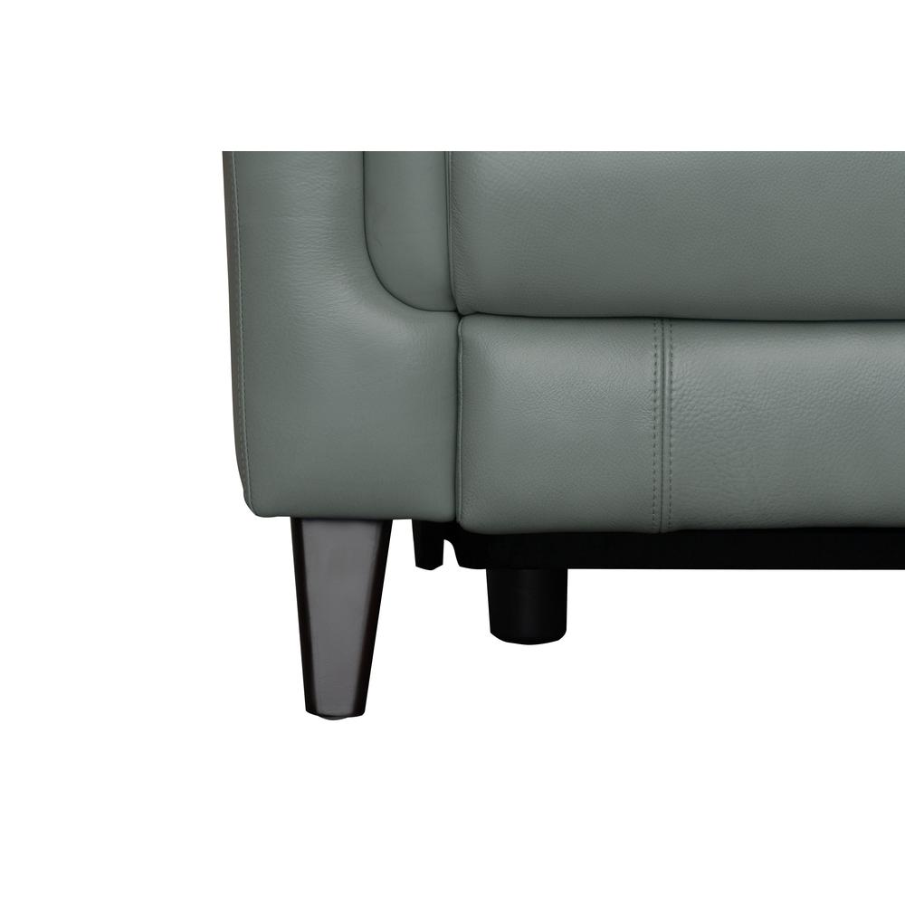 39PH-3716 Kester Power Reclining Sofa, Mint. Picture 5