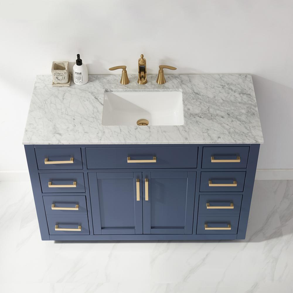 48" Single Bathroom Vanity Set in Royal Blue without Mirror. Picture 3