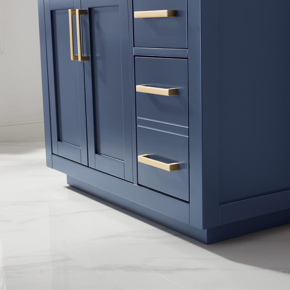 Single Bathroom Vanity Cabinet Only in Royal Blue without Countertop and Mirror. Picture 6