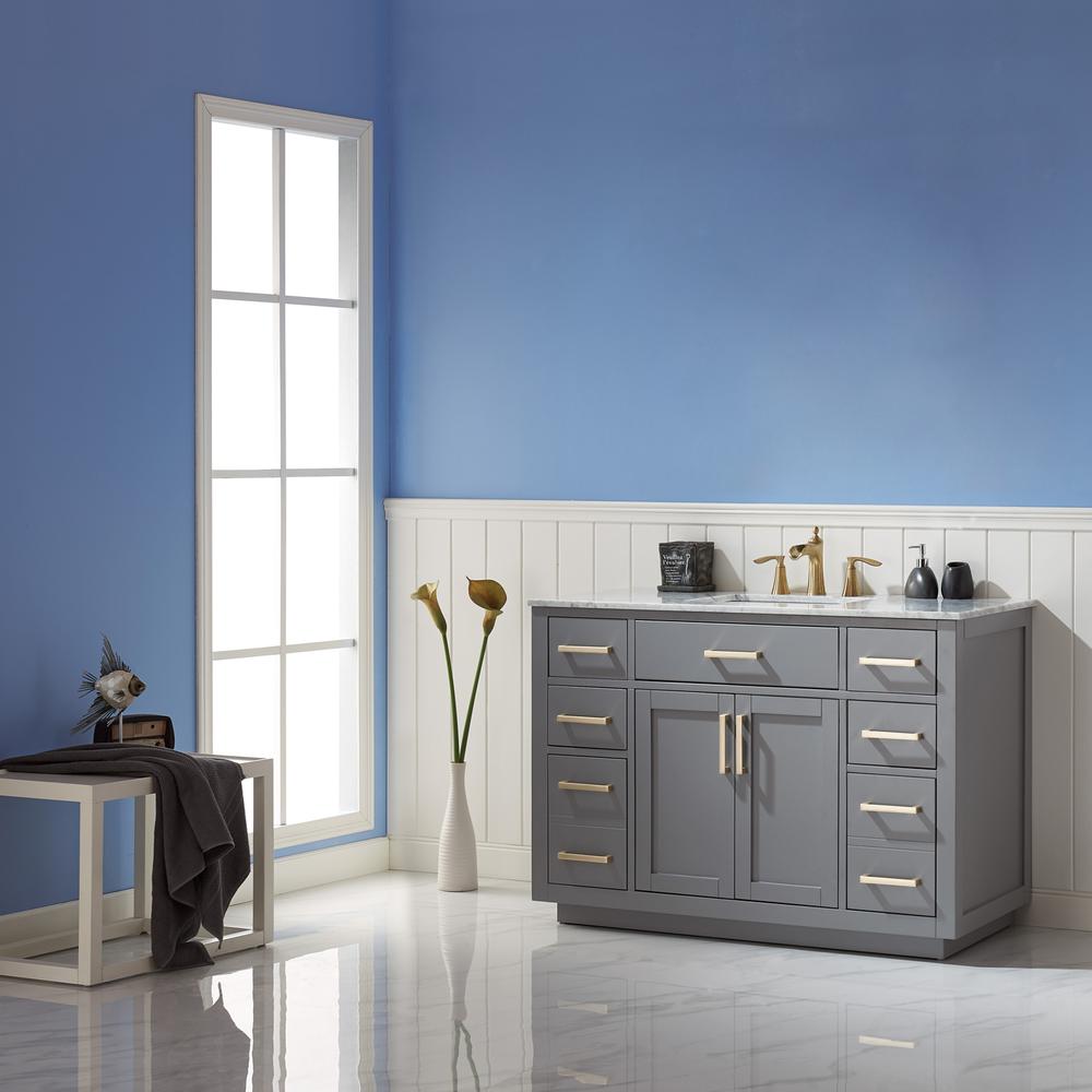 48" Single Bathroom Vanity Set in Gray without Mirror. Picture 7