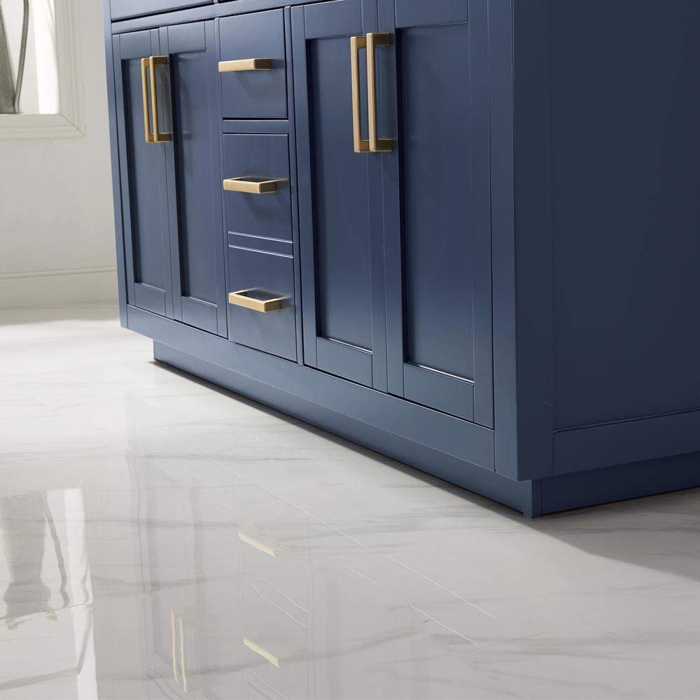 Double Bathroom Vanity Cabinet Only in Royal Blue without Countertop and Mirror. Picture 4