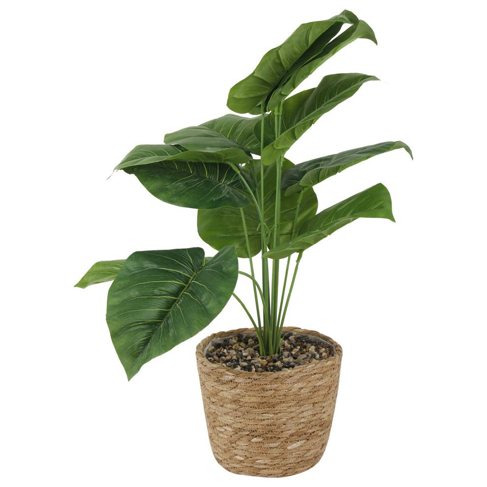 Artificial Tropical Foliage Potted Plant with Natural Woven Planter. The main picture.