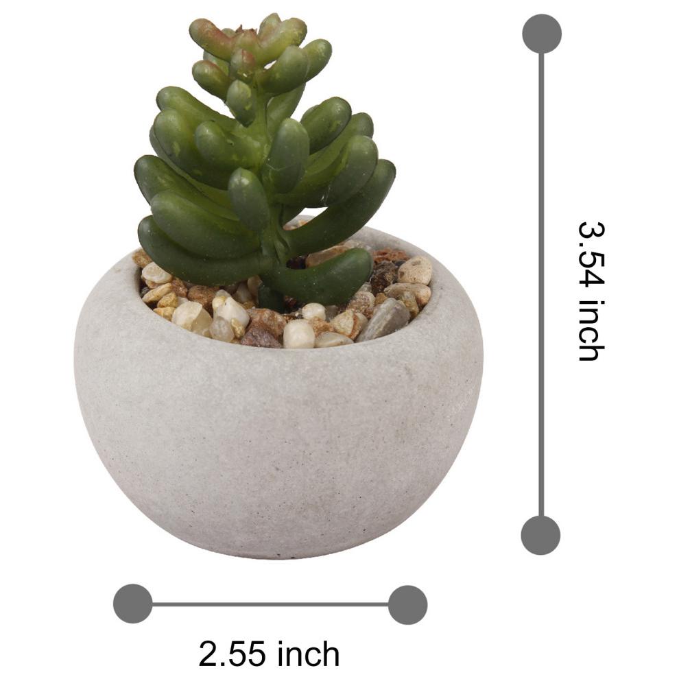 Artificial Mini Potted Succulents Set of 4. Picture 8