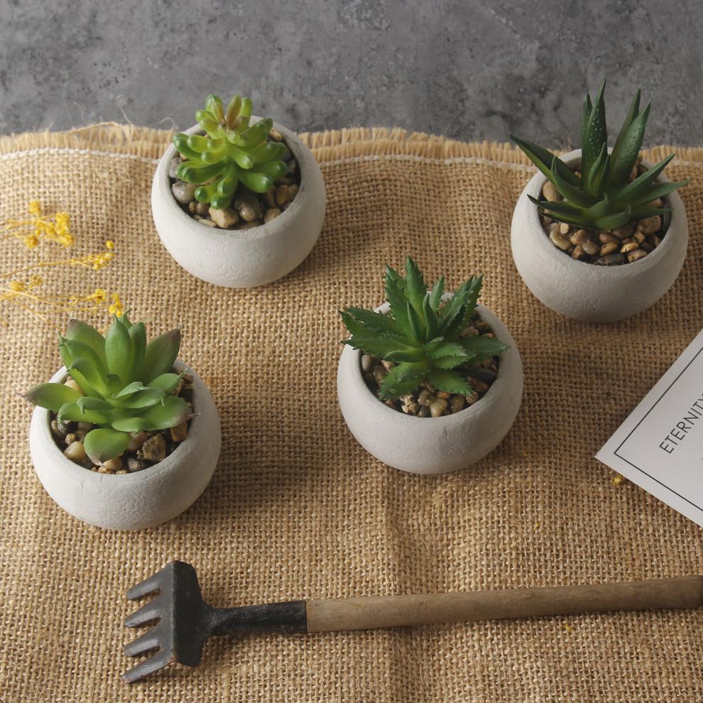 Artificial Mini Potted Succulents Set of 4. Picture 9