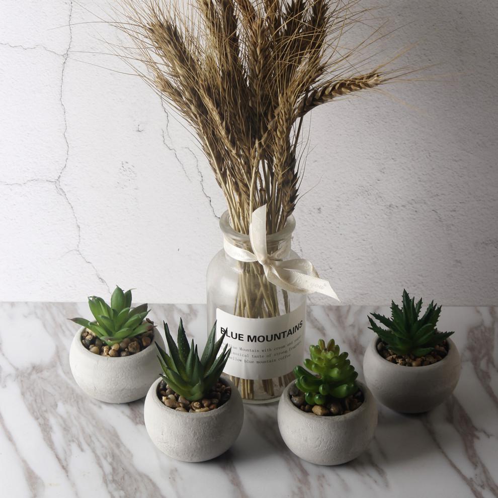 Artificial Mini Potted Succulents Set of 4. Picture 10