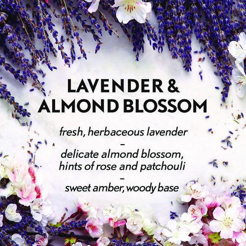 Essential Mist Refill, Lavender and Almond Blossom, 0.67 oz Bottle, 6/Carton. Picture 7