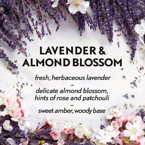 Essential Mist Starter Kit, Lavender and Almond Blossom, 0.67 oz Bottle, 4/Carton. Picture 7