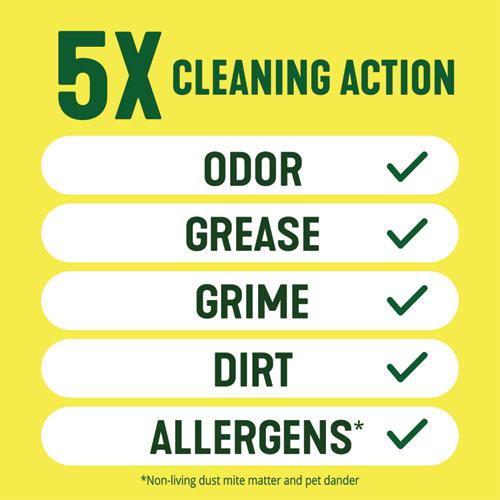 Multi-Surface Cleaner Disinfectant Concentrated, Pine Scent, 20 oz Bottle, 8/Carton. Picture 8