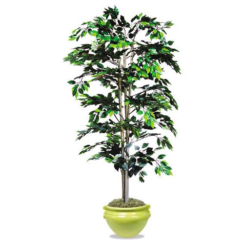 Artificial Ficus Tree, 6 ft Tall. Picture 4