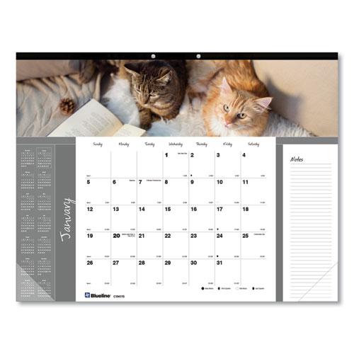 Pets Collection Monthly Desk Pad, Furry Kittens Photography, 22 x 17, White Sheets, Black Binding, 12-Month (Jan-Dec): 2024. Picture 2