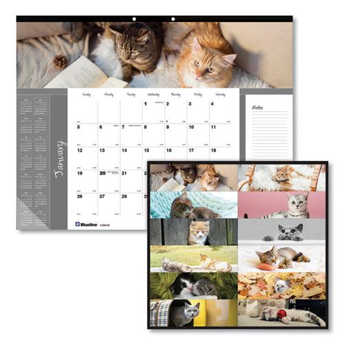 Pets Collection Monthly Desk Pad, Furry Kittens Photography, 22 x 17, White Sheets, Black Binding, 12-Month (Jan-Dec): 2024. Picture 1