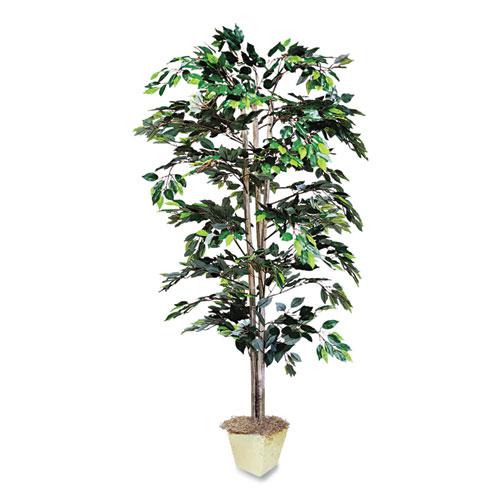 Artificial Ficus Tree, 6 ft Tall. The main picture.