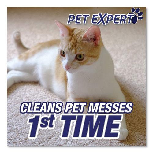 Pet High Traffic Foam Carpet and Upholstery Cleaner, 22 oz Aerosol Spray, 12/Carton. Picture 5