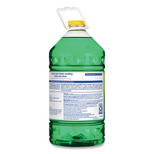 Fraganzia Multi-Purpose Cleaner, Forest Dew Scent, 175 oz Bottle, 3/Carton. Picture 4