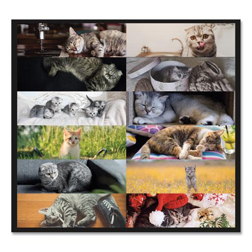 Pets Collection Monthly Desk Pad, Furry Kittens Photography, 22 x 17, White Sheets, Black Binding, 12-Month (Jan-Dec): 2024. Picture 4