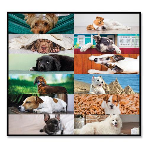 Pets Collection Monthly Desk Pad, Puppies Photography, 22 x 17, Black Binding, Clear Corners, 12-Month (Jan to Dec): 2024. Picture 3