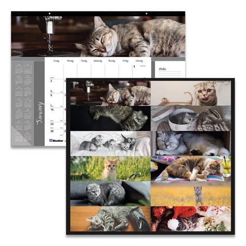 Pets Collection Monthly Desk Pad, Furry Kittens Photography, 22 x 17, White Sheets, Black Binding, 12-Month (Jan-Dec): 2024. Picture 3