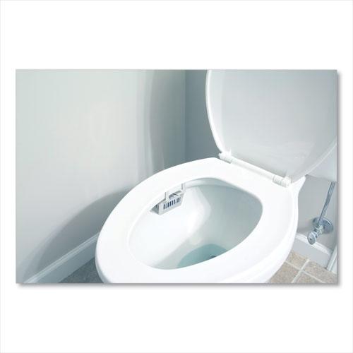 Non-Para Toilet Bowl Block, Lasts 30 Days, Evergreen Scent, White, 12/Box. Picture 4